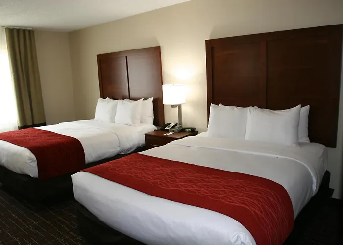 Comfort Inn Wichita Falls Near University