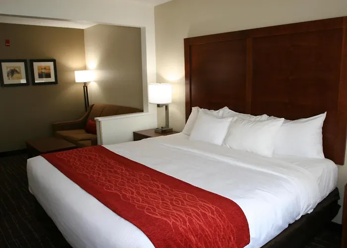 Comfort Inn Wichita Falls Near University