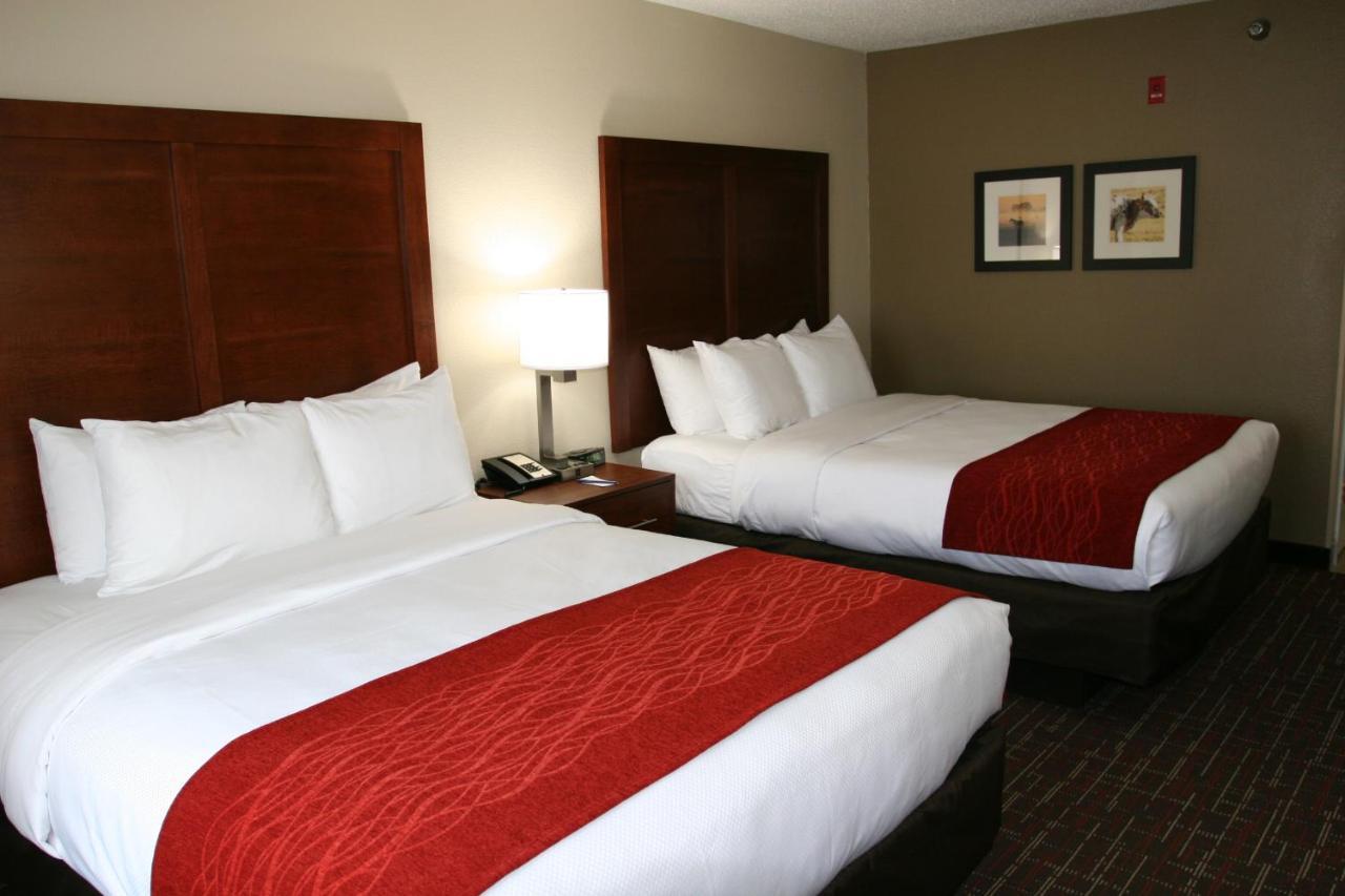 Comfort Near Inn 2*